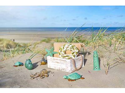 Zeester Groen 19,5x3,5xh17,3cm Andere Do Lomiet