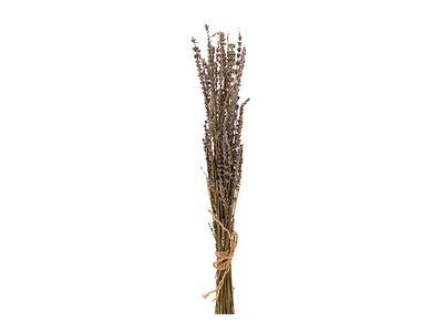 Lavendel Paars 41x4xh60cm 