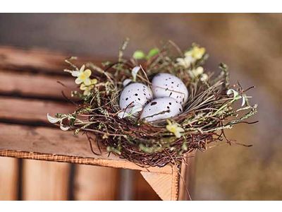 Nest X3 Eggs Flower Mix Groen 23x23xh9cm  Rond Kunststof