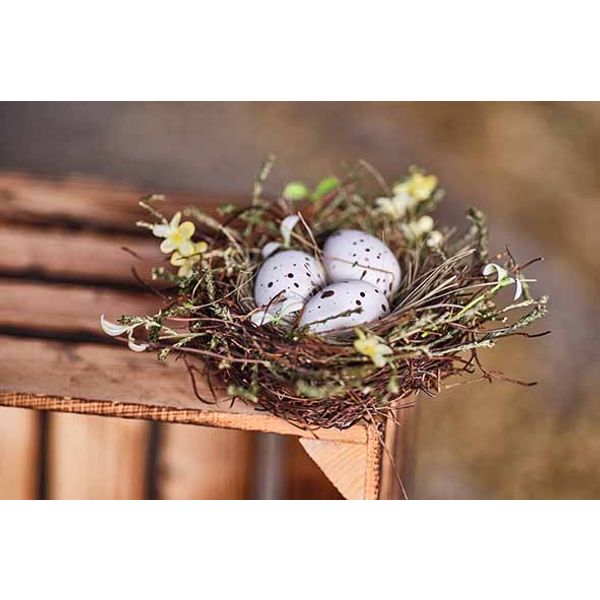 Nest X3 Eggs Flower Mix Groen 23x23xh9cm  Rond Kunststof 