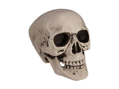 Doodskop Grijs 13x12xh16cm 