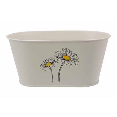 Bac A Plantes Daisy Creme 22,5x18xh10,5c M Ovale Metal  Cosy @ Home