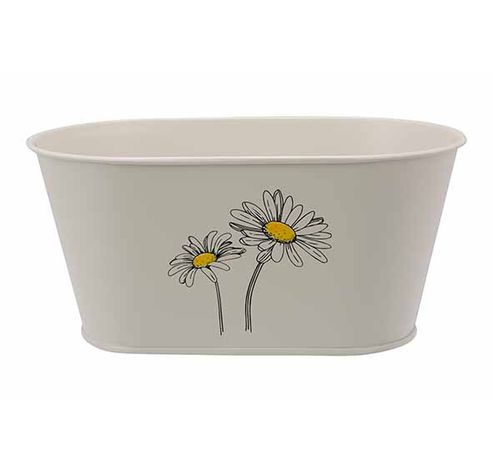 Bac A Plantes Daisy Creme 22,5x18xh10,5c M Ovale Metal  Cosy @ Home