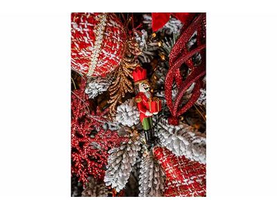 Notenkraker Set6 6 Ass Rood Groen 4x2xh1 0,5cm Polyresin