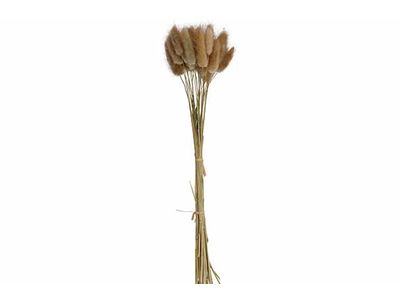 Boeket Cat Tails Natuur 10x10xh60cm Kraft Paper Bag