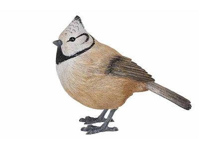 Vogel Finch Multi-kleur 10,5x5xh9cm Lang Werpig Polyresin