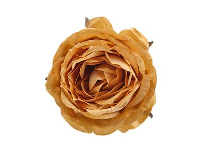 Clip Rose Goud 9x9xh5cm Kunststof 