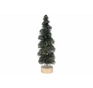 Kerstbomen