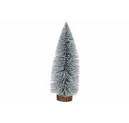 Kerstbomen