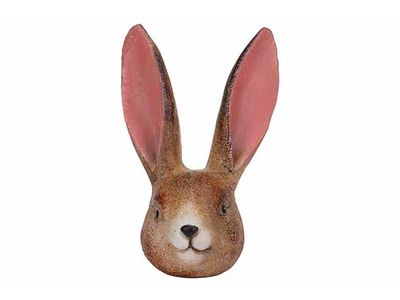 Hoofd Rabbit Bruin Langwerpig Dolomiet 