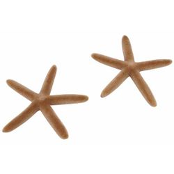 Cosy @ Home Strooideco Set2 Flocked Sea Star Beige D 6cm Kunststof 