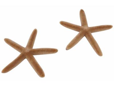 Strooideco Set2 Flocked Sea Star Beige D 6cm Kunststof