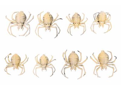 Spin Set8 Natuur H6cm Kunststof 