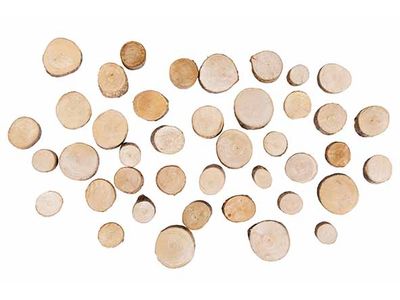 Strooideco Wood Disk In Net 250gr Natuur  15x15xh6cm Rond Hout