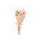 Boeket Dried Flowers Mini Roze 11x2xh20c M 