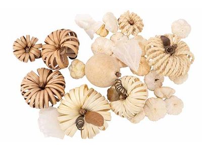 Potpourri Mix Winter Spice Natuur 12x6xh 20cm