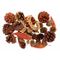 Potpourri Orange Cinnamon Gold Bruin 12x 6xh20cm 