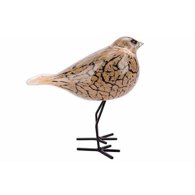 Oiseau Beige 17x9xh15cm Verre   Cosy @ Home