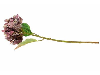 Branche Hydrangea Bordeaux 12x12xh55cm P Lastic