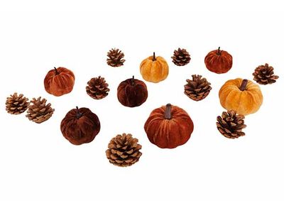 Pompoen Mix With Cones Bruin 20x20xh12cm 