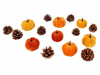Pompoen Set16 Mix With Cones Oranje D5 2 0x20xh12cm