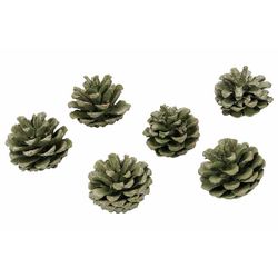 Cosy @ Home Pommes De Pin Set6 Vert D5cm  