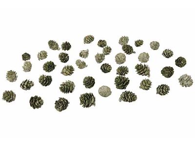 Denappels 140gr Groen D3 15x4xh20cm 