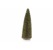 Kerstbomen