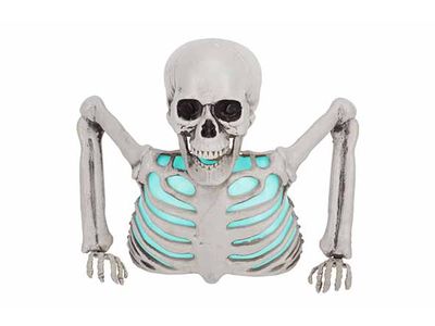 Buste Skeleton With Light Natuur 25x12xh 20cm Kunststof Incl 3 Lr44 Batt