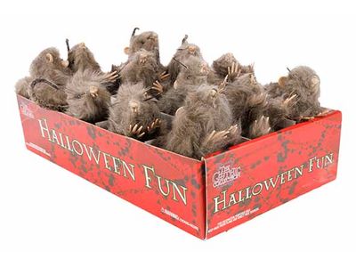 Rat Set12 Hairy Gris 15x8xh10cm Plast Ic