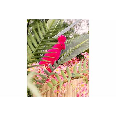 Perroquet Flocked Fuchsia 14x9xh24cm Pla Stic  Cosy @ Home