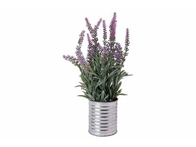 Lavendel In Pot Lila 15x15xh33cm 