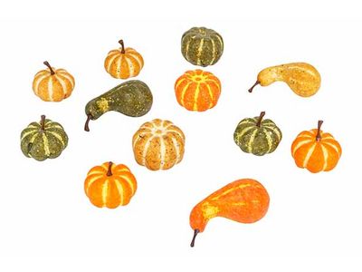 Pompoen Set12 Mix Multi-kleur 8x8xh7cm K Unststof