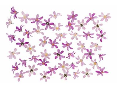 Deco A Disperser Flowers Lila Textile 