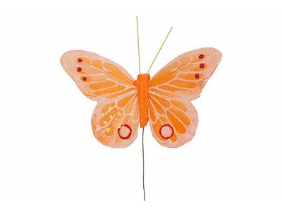 Vlinder Set12 Oranje 11x8xh3cm 