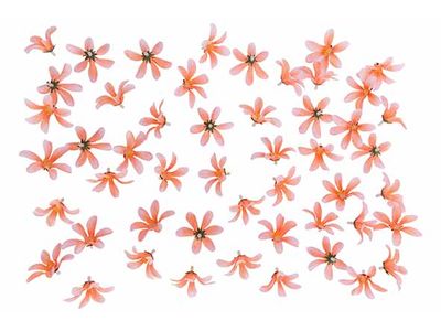 Deco A Disperser Flowers Rose Textile 