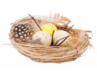 Nest 3 Eggs Natuur 10x10xh3,5cm 