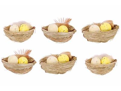 Nest Set6 2 Eggs Natuur 6x6xh2cm 