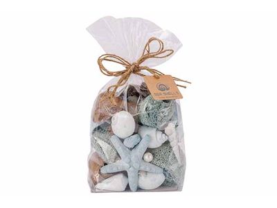 Deco A Disperser Sea Shell Bleu Claire 1 1x7xh20cm Coquille