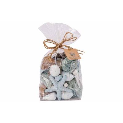 Deco A Disperser Sea Shell Bleu Claire 1 1x7xh20cm Coquille  Cosy @ Home