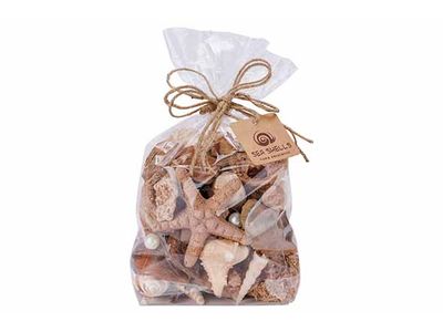 Deco A Disperser Sea Shell Brun 11x7xh20 Cm Coquille