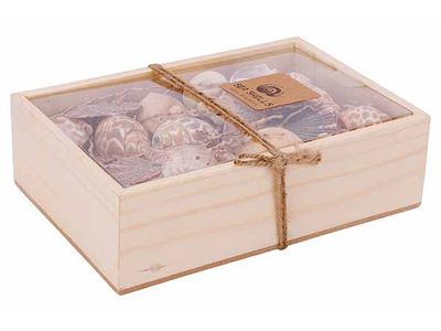 Deco A Disperser Sea Shell Brun Rectangu Laire Coquille