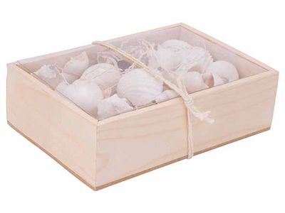 Deco A Disperser Sea Shell Blanc 18x12xh 6cm Rectangulaire Coquille