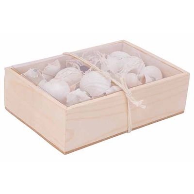 Strooideco Sea Shell Wit 18x12xh6cm Rech Thoekig Schelp  Cosy @ Home