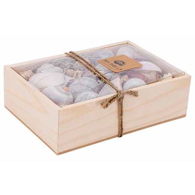 Strooideco Sea Shell Grijs 18x12xh6cm Re Chthoekig Schelp  Cosy @ Home