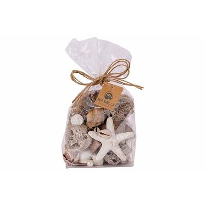 Deco A Disperser Sea Shell Blanc 11x7xh2 0cm Autre Coquille  Cosy @ Home