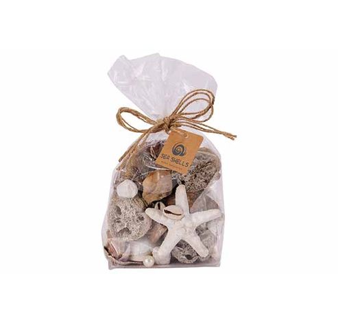 Strooideco Sea Shell Wit 11x7xh20cm Ande Re Schelp  Cosy @ Home