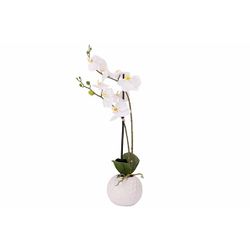 Cosy @ Home Sierplant Orchid In Pot Wit 25x20xh56cm Kunststof 