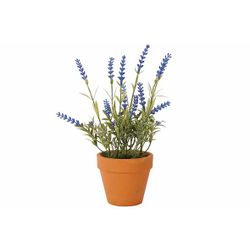 Cosy @ Home Sierplant Lavender In Pot Paars 10x10xh2 6cm Kunststof 