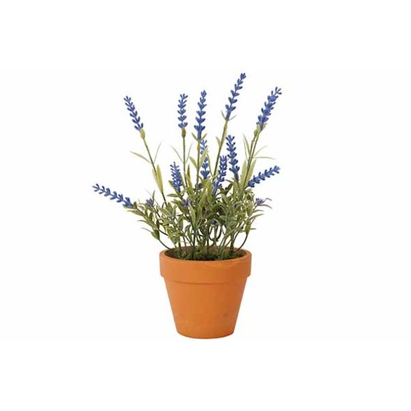 Sierplant Lavender In Pot Paars 10x10xh2 6cm Kunststof 